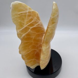 Butterfly Wings