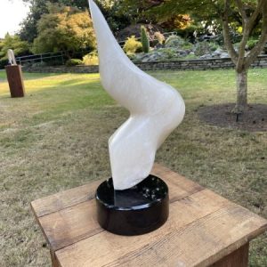 Dancing Vortex